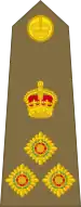 Colonel commandant