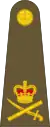 Lieutenant-general