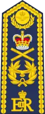 Marshal of the RAF shoulder board