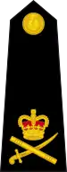 Lieutenant-general(Royal Marines)