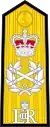 Royal Navy admiral of the fleet (shoulder board)