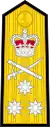 Shoulder board prior to 2001