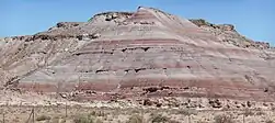 Strata of the Brushy Basin Member of the Morrison Formation