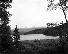 Black and white photo of a lake with a glaciated, dome-shaped mountain in the background and a couple of trees in the foreground.