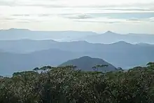 The view from Mount Budawang.