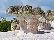 The Stone Mushrooms