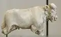 A carved, white statue of a bull missing its legs and with a head showing details of ears, mouth, nose, and eyes