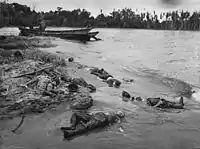 Japanese soldiers killed during the final phase of the battle at Buna Station, January 1943. The large number of dead Japanese and Allied bodies on the beach led the Allies to nickname it "Maggot Beach".