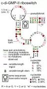 Cyclic di-GMP-II riboswitch:  Secondary structure for the riboswitch marked up by sequence conservation.