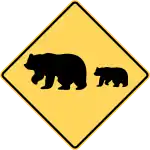 Bear area.