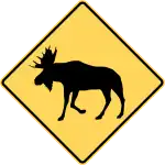 Moose area.