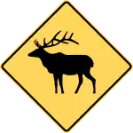 Elk area.