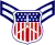 Cadet airman first class insignia