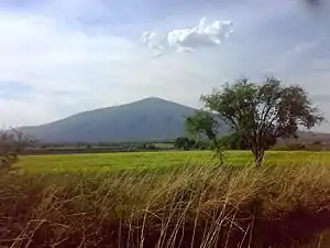Field near Salamanca, Guanajuato.