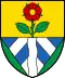 Coat of arms of Fieschertal