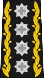 Four-"Star" rank insignia of the top Swiss general.