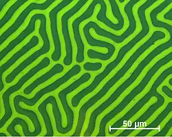 Domain structure of an exemplary meander domain (recorded using CMOS-MagView)