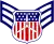 Cadet senior airman insignia