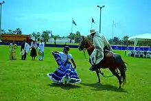 Paso Peruvian horse dancing marinera