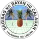 Official seal of Calauan