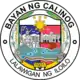 Official seal of Calinog