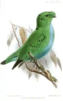 Painting of a green bird with small black spots on its wings perched on a branch