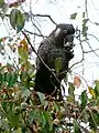 and male at Margaret River, Western Australia