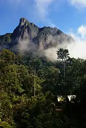 A camp is nestled in tropic rain forest, with a steep mountain peek directly behind it.