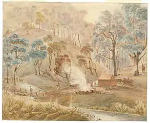 Watercolour painting of Campbells River, by John Lewin (1815)