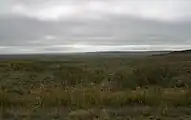 Oldham County ranch land in the Canadian River Valley between Vega and Dalhart (2002)