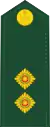 LieutenantFrench: Lieutenant(Canadian Army)