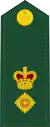 Canadian Army(Lieutenant Colonel)