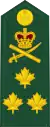 Lieutenant-generalLieutenant-général(Canadian Army)