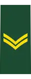 Corporal(French: Caporal)(Canadian Army)