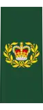 Insignia of a master warrant officer