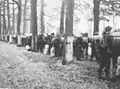 Photograph by Private Floyd Watkins, Canadian Scottish Regiment, Nijmegen, Fall 1945