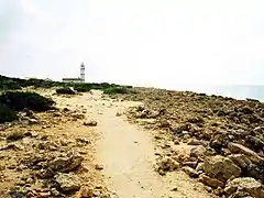 Cap de Ses Salines