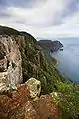 Dolerite columns of Cape Raoul.