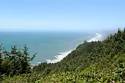 Looking north from Cape Sebastian