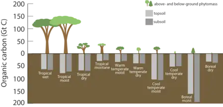 Carbon stored in ecosystems