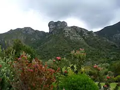 Castle Rock from Kirstenbosch