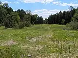 Cedar glade along Hidden Springs Trail