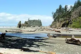 Cedar Creek and Abbey Island, Kalaloch Area