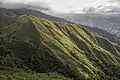 Tropical savanna climate, influenced by a temperate highland climate in Caracas Valley