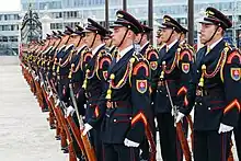 The Honour guards of President of Slovakia with the coat of arms in uniforms