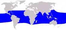 Fraser's dolphin range