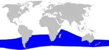 Gray's beaked whale range