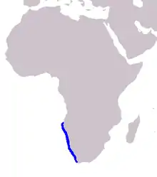 Heaviside's dolphin range