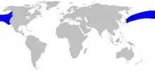 Hubb's beaked whale range