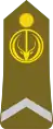 Soldat première(Chadian Ground Forces)